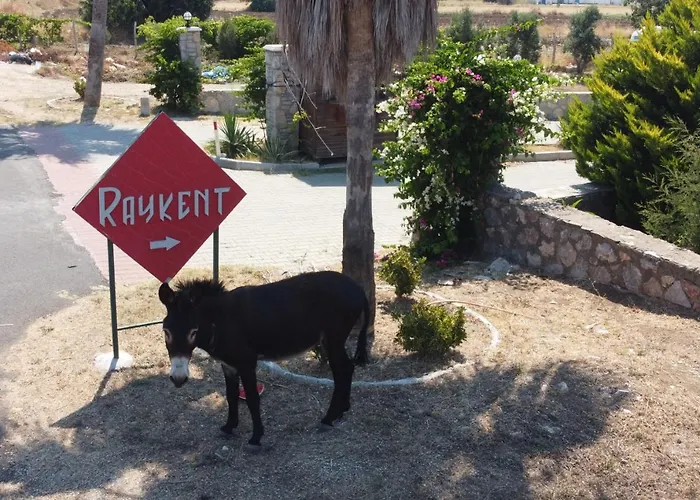 Semesterbostad Ernis - Raykent Tatil Sitesi - Kiralik *