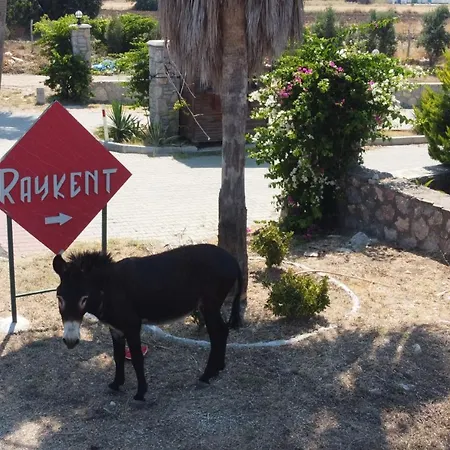 Holiday home Ernis - Raykent Tatil Sitesi - Kiralik *